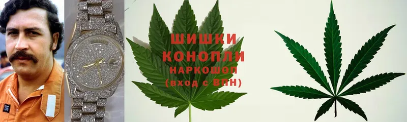 закладка  Краснознаменск  МАРИХУАНА LSD WEED 